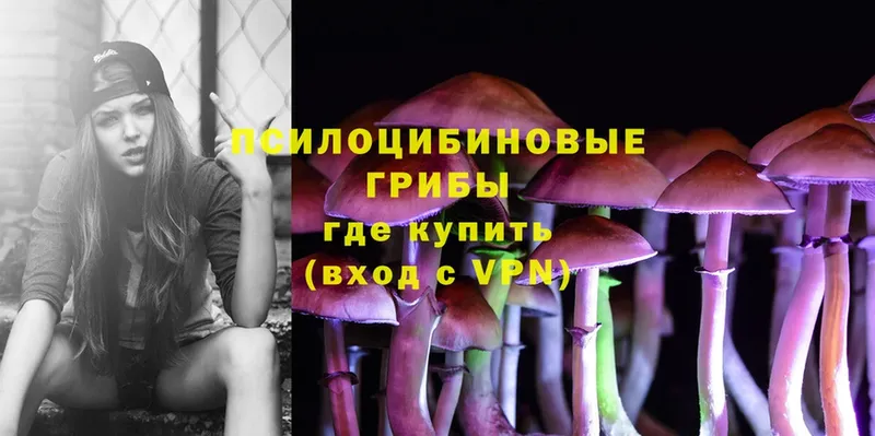 где купить наркоту  Алексеевка  MEGA ССЫЛКА  Псилоцибиновые грибы Cubensis 