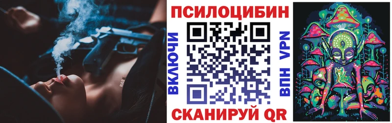 blacksprut вход  Алексеевка  Псилоцибиновые грибы Psilocybe 