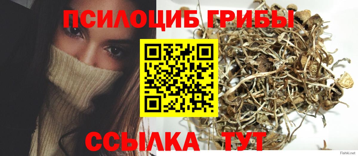 Псилоцибиновые грибы ЛСД  Псилоцибиновые грибы мицелий  Вход с VPN  Алексеевка 