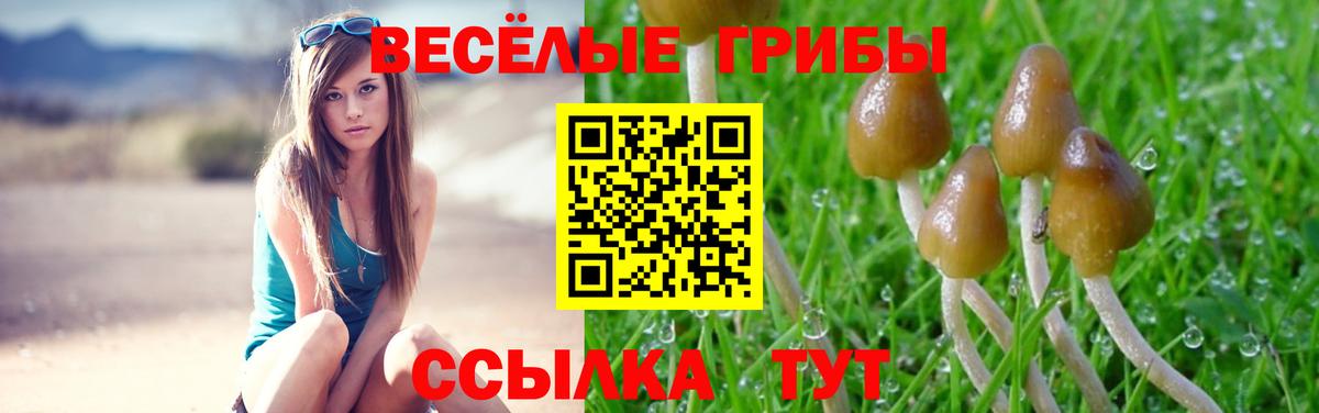Галлюциногенные грибы прущие грибы  Псилоцибиновые грибы Cubensis  Алексеевка  Вход с VPN 